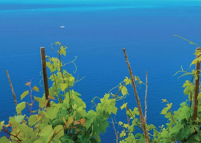 Cozy In With Sauna *